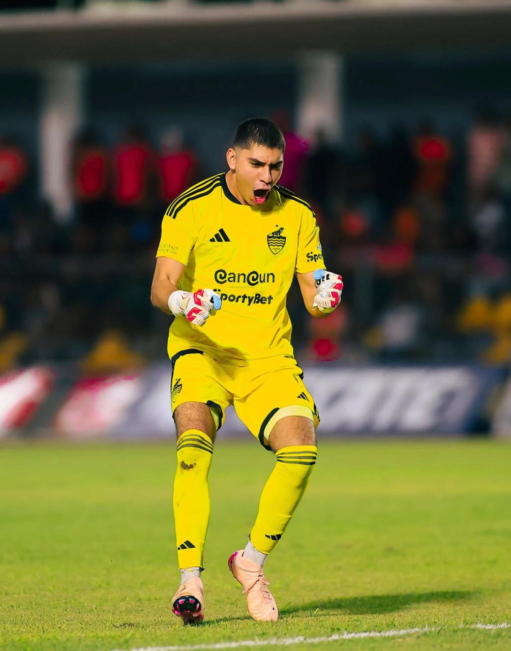 Goalkeeper on the pitch wearing Voit gloves